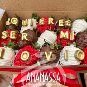 Fresas con chococolate