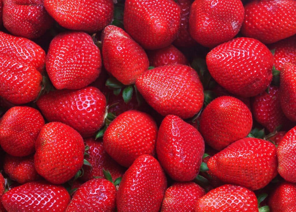 Fresas ananassa