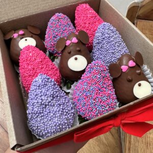 Fresas con chocolate para regalar