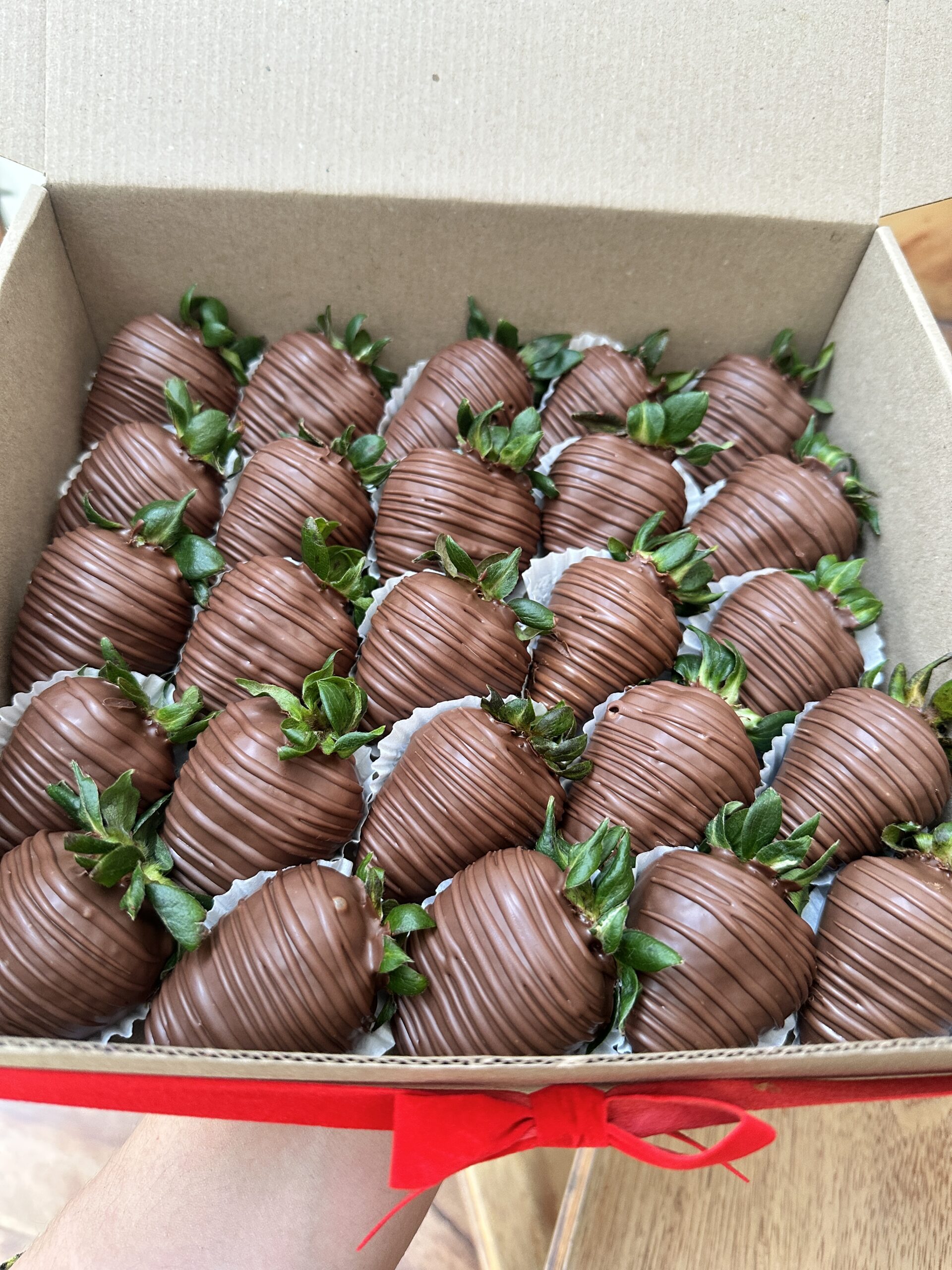 Fresas con chocolate oscuro